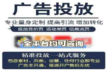 谷歌SEM案例研究：广告预算分配与优化